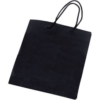 Non-Woven Gift Bag