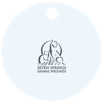 Large Pet ID Tag - Circle