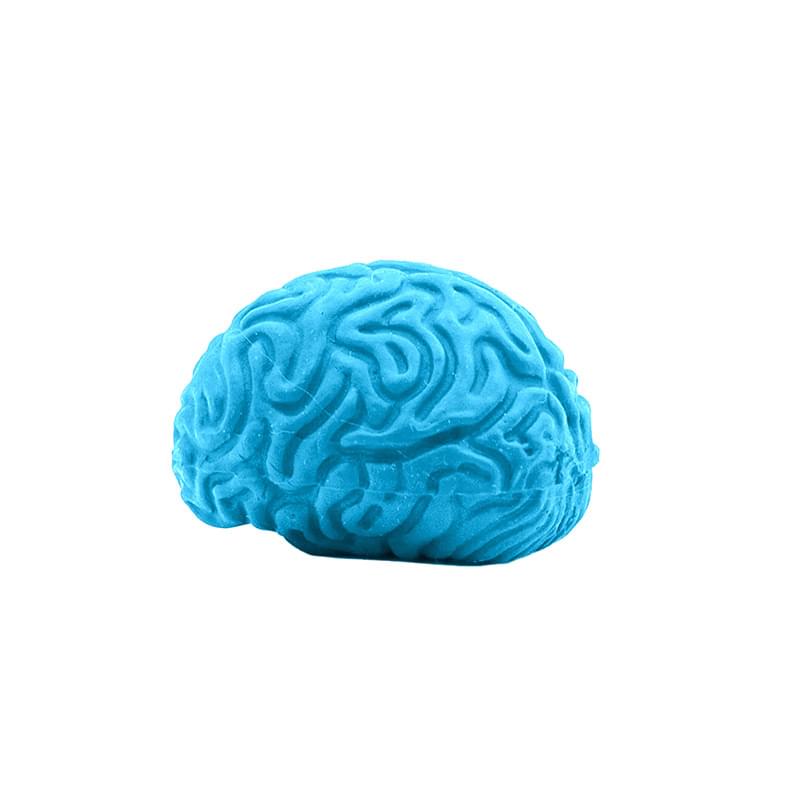 Pencil-Top Eraser Brain