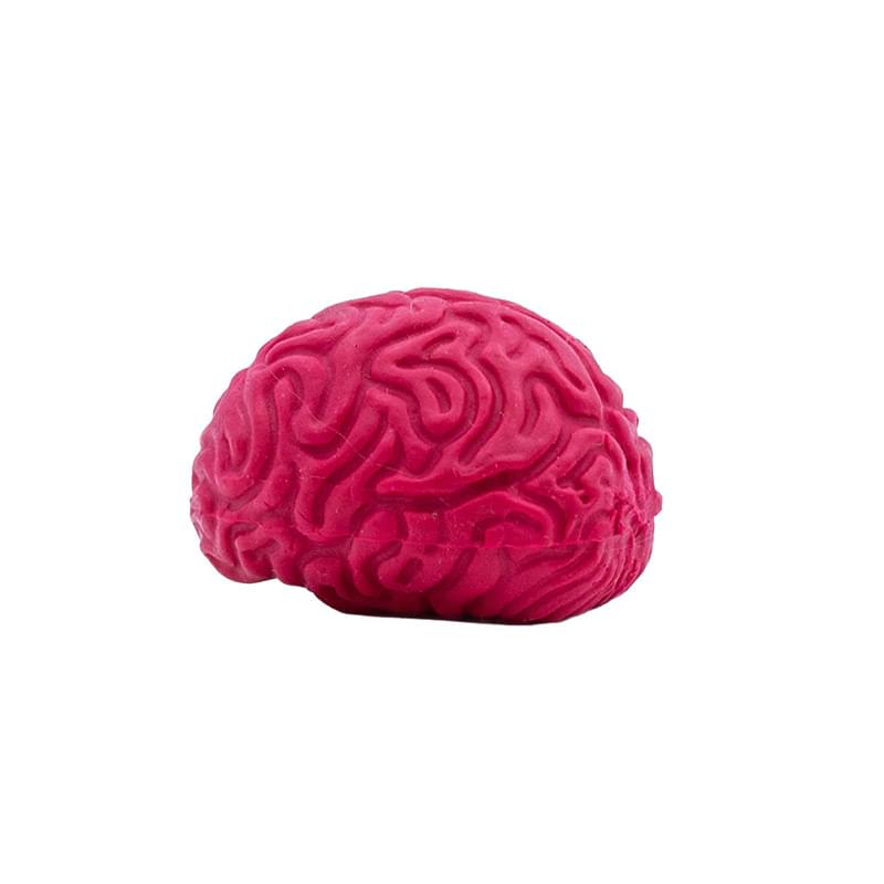 Pencil-Top Eraser Brain