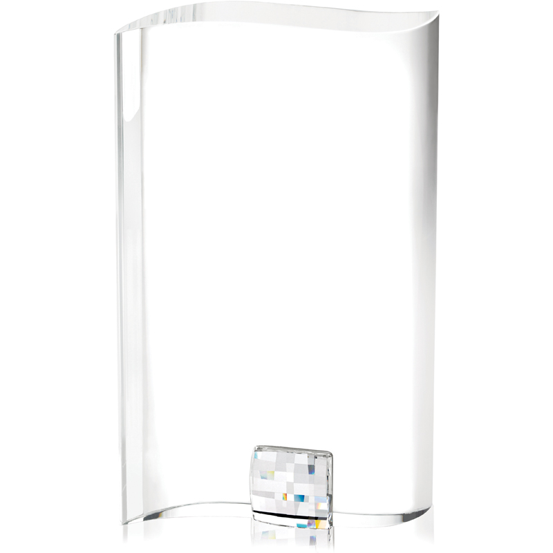 Perfection Award - Large