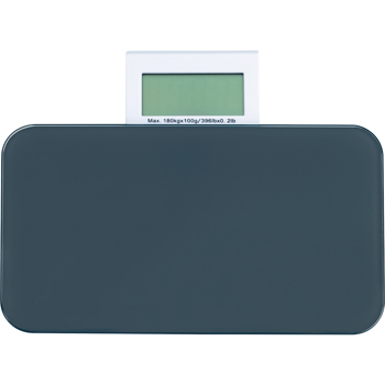 Electronic Portable Scale