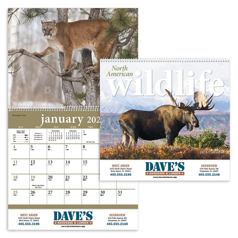 North American Wildlife
