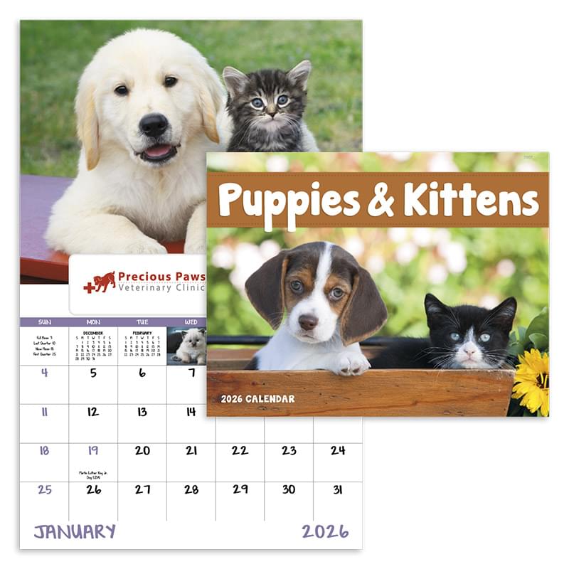 Puppies & Kittens - Window