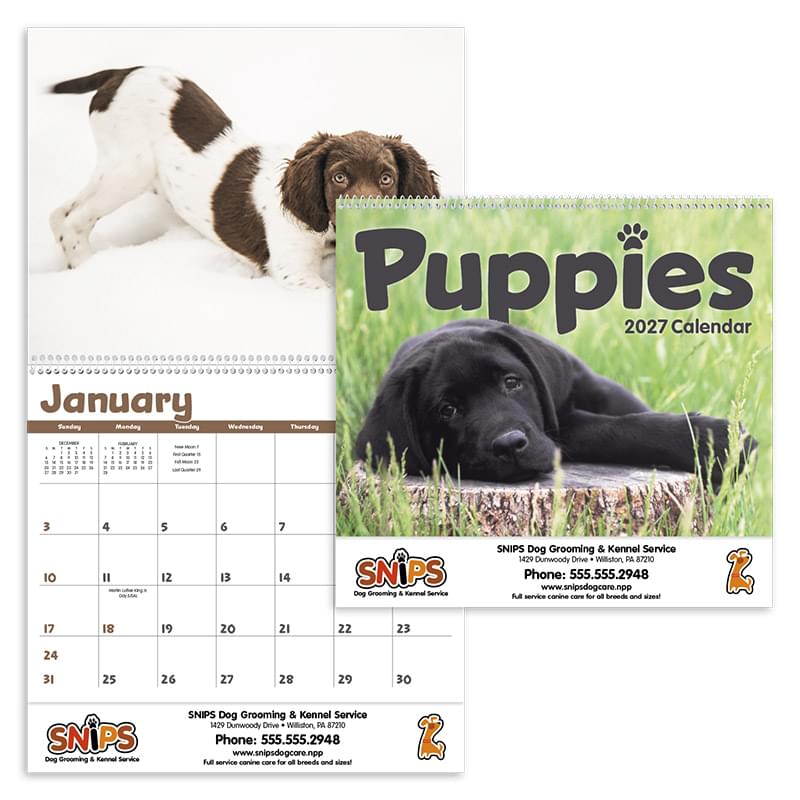 Puppies