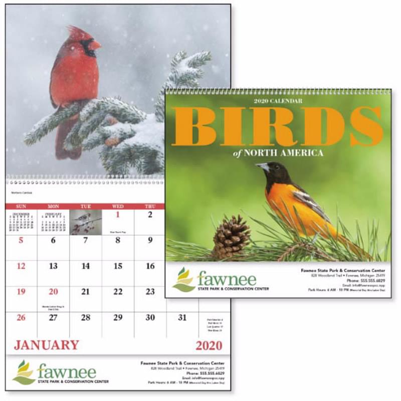 Birds of North America - Spiral