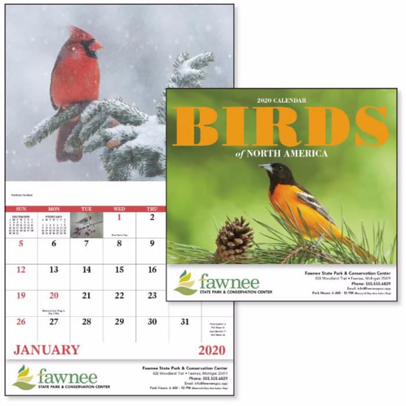Birds of North America - Stapled