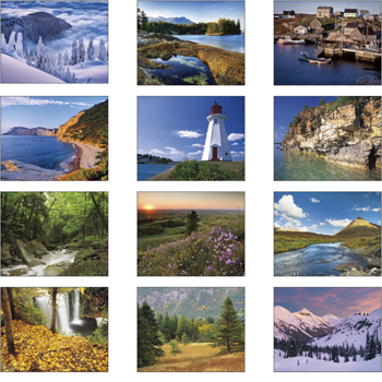 Scenic Canada - Window