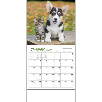 Puppies & Kittens - Mini