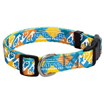 3/4" Polyester 4 Color Pet Collar