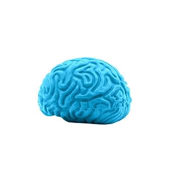 Pencil-Top Eraser Brain